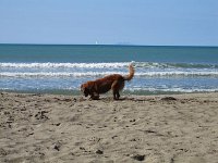 Goliath (16)